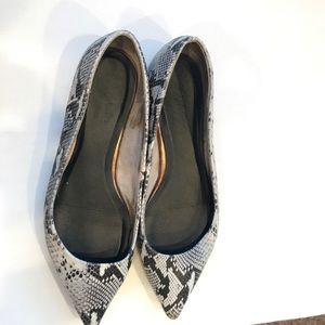 7.5 Seychelles snake print pointed toe flats